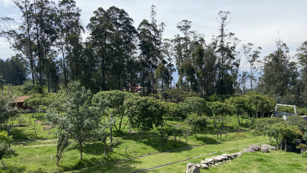 Casa Suaya La Esperanza 2